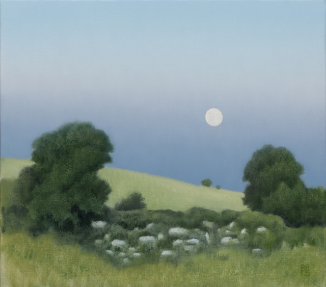 Moon over the Moor