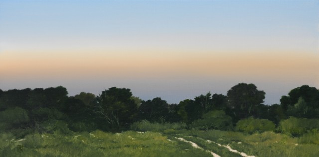 Landscape before Dusk